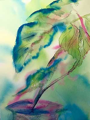 Angelwing in Cool by Sue Kelman