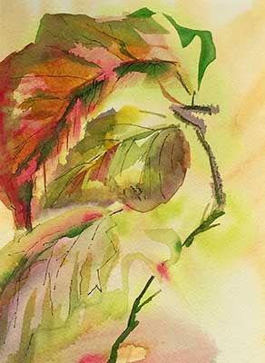 Angelwing in Warm by Sue Kelman