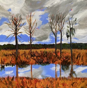 Sweetwater Reflections by Sue Kelman